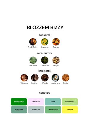 Blozzem Bizzy